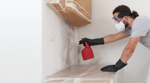 Professional Basement Mold Remediation technician working in Cliffwood, NJ